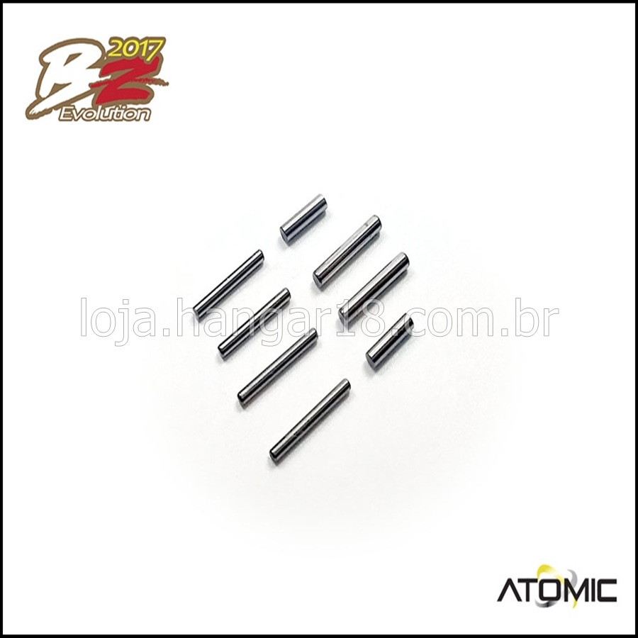 ARM PINS SET