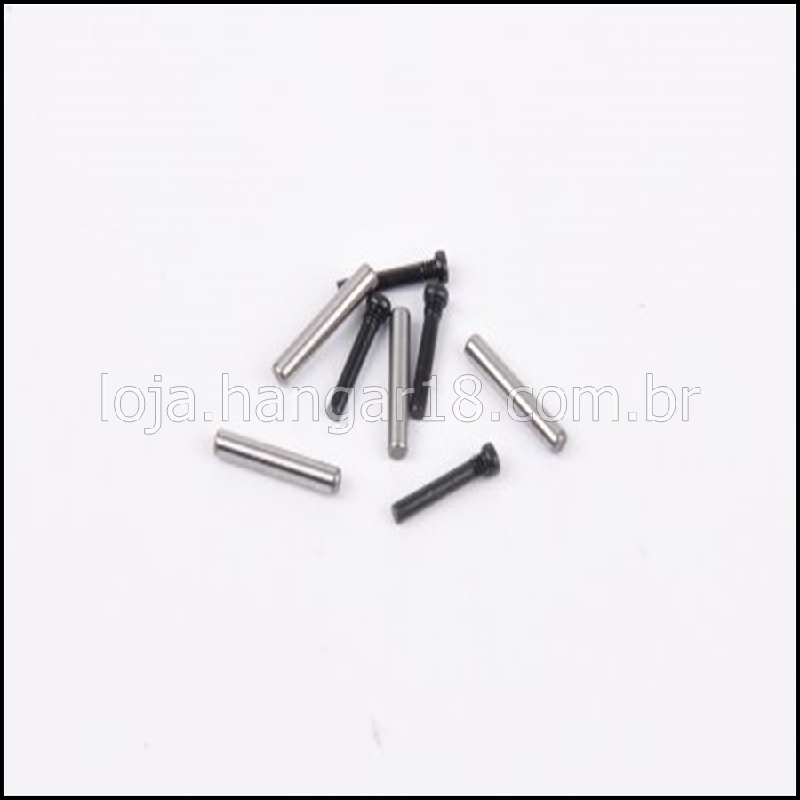 AMZ Swing Arm Pin &amp; Screw Set