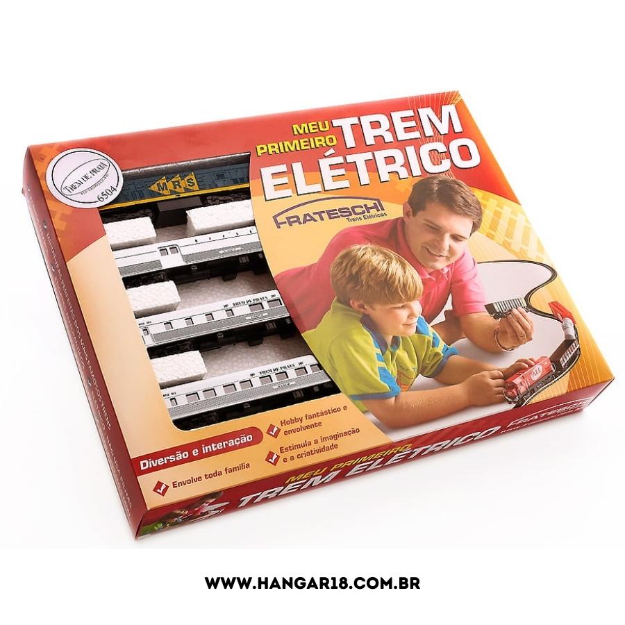 TREM DE PRATA MRS EXPRESSO RIO - SP 6504
